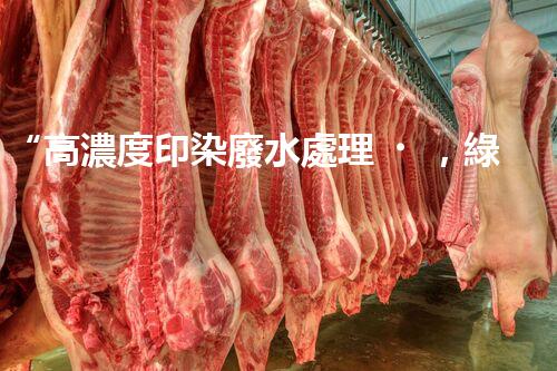 “高濃度印染廢水處理，綠色創(chuàng)新，凈享環(huán)保新篇章”